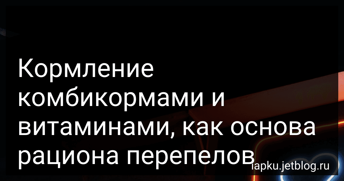 Кормление комбикормами и витаминами, как основа рациона перепелов image
