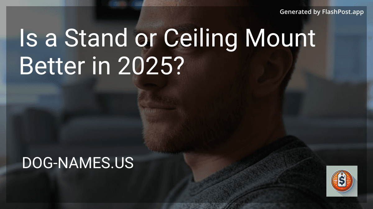 Is a Stand or Ceiling Mount Better in 2025? preview