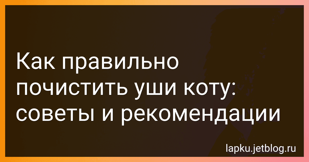 Как правильно почистить уши коту: советы и рекомендации image