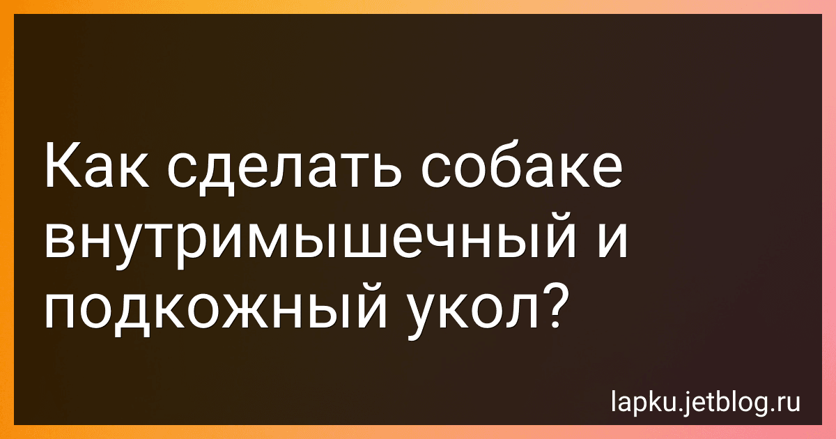Как сделать собаке внутримышечный и подкожный укол? preview