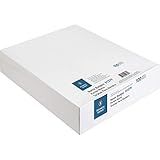 Business Source Name Badge Holder, Clear (01379)