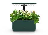 AeroGarden Harvest Lite in Green, Soil-Free Indoor Hydroponic Garden with LED Grow Light for Year-Round Gardening of up to 6 Herbs and Vegetables