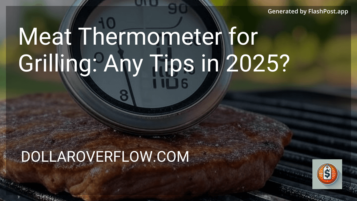 Meat Thermometer for Grilling: Any Tips in 2025? image