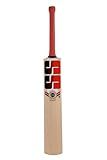 SS T20 Legend Club Kashmir Willow Premium Cricket bat - Mens Size (Limited Edition)