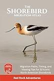 The Shorebird Migration Atlas: Migration Paths, Timing, and Viewing Tips for 32 Iconic North American Shorebirds