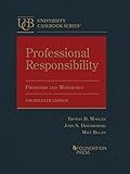 Professional Responsibility, Problems and Materials (University Casebook Series)