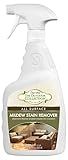 STAR BRITE - 54432 Star brite Outdoor - All Surface Mold Stain & Mildew Stain Remover – Cleans & Removes Stains on Contact - 32 OZ Spray