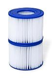 SaluSpa Type VI Replacement Filter Cartridge for Inflatable Hot Tubs 2-Pack
