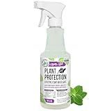 Mighty Mint Peppermint Plant Protection Spray for Insects, Gnats, Fungus, Mites, and Disease, 16 oz