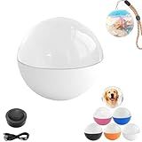 Memory orb Ball, Crystal Ball Video Player Full-Color Dynamic Display Images, Videos, Music Gift Decorative Item (White)