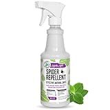 Mighty Mint Peppermint Oil Spider Repellent Spray – Natural Indoor & Outdoor Bug Control for Spiders and Insects – Plant-Based, Extra-Strong Formula - 16 oz