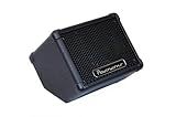 Powerwerks PW4P 50 Watt Personal PA Monitor