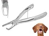 Artman Instruments Pet Tartar Remover Forceps 4.5″ – Pet Dental Calculus Removal Tool for Dogs, Pets, Canine, Veterinary Use Plaque Scraper, Dental Pick, Oral Hygiene Tool for Animal Teeth Cleaning