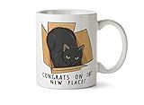 Delicious Accessories First Home Housewarming Gift Funny New Homeowner Coffee Mug with Cat in a Box 11 oz Tea Ceramic
