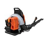 Houltune 63CC Backpack Leaf Blower, 850 CFM 200 MPH, 19.8 lb