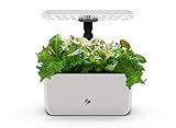 AeroGarden Harvest Lite, Indoor Garden Hydroponic System with LED Grow Light, Holds up to 6 AeroGarden Pods, Cream