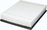 BOSCH 5499WS Workshop Engine Air Filter
