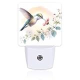 Groovy Hummingbird Flower Night Light for Kids, Watercolor Floral Bird Night Light Plug in with Dusk to Dawn Sensor, 0.5w Energy Saving Sleep Friendly Nightlight for Hallway Stairway Kitchen Bedroom