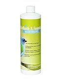 Sanco Bird Bath & Fountain Maintenance, Fast-Acting Enzyme-Based Formula Will Extend The Life of Your Water Feature, Aid in Maintaining a Balanced Ecosystem, 16 oz