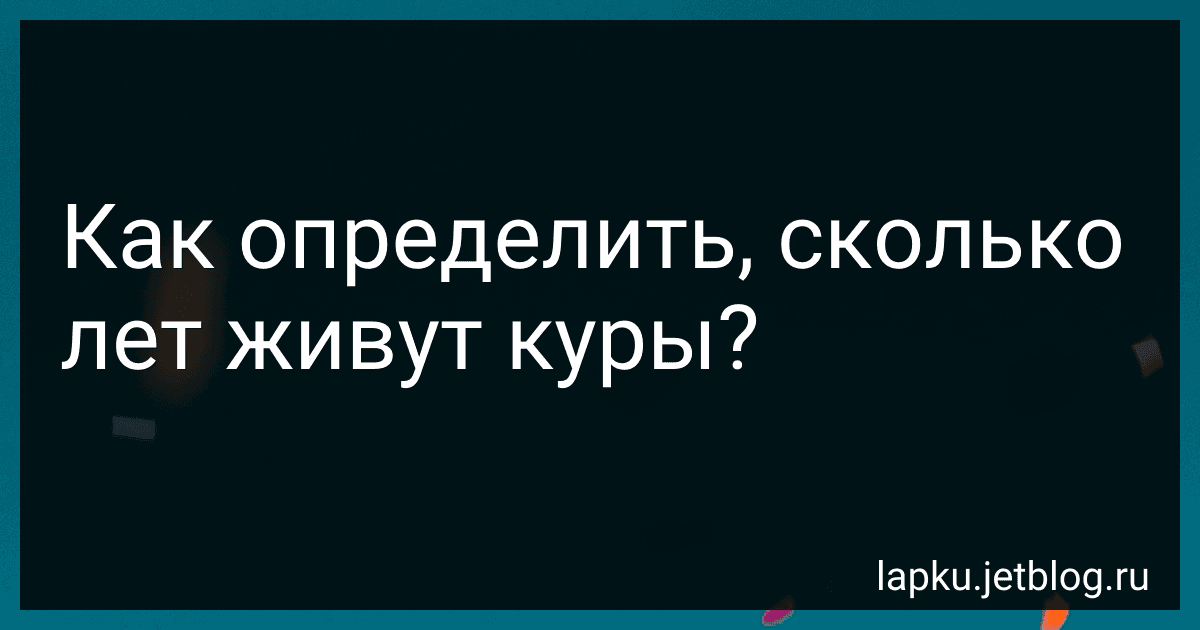 Как определить, сколько лет живут куры? image