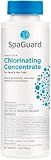 SpaGuard Chlorinating Concentrate (14 oz)