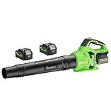 Leaf Blower Cordless with 2 x 4.0Ah Battery and Charger, 780CFM 260MPH Electric Blower with 2 Speeds, 20V Handheld Leaf Cleaner for Lawn Care, Blowing Leaves, Dust, Snow, Gravel for Patio, Yard, Green