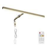 Pasoar LED Picture Lights for Paintings Plug in, 16 Inch 4W Adjustable Art Light Gallery Wall Light for Display Art Work, Antique Brass Finish, CRI90+, 3000K Warm White