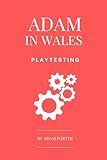 Adam in Wales - Playtesting: A Practical Guide for Board Game Designers (Adam In Wales - Board Game Design)