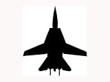 F-14 Tomcat Fighter Sticker Window Vinyl Decal Pilot Fly Aircraft Jet USA Bomber - Die cut vinyl decal for windows, cars, trucks, tool boxes, laptops, MacBook - virtually any hard, smooth surface