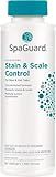 SpaGuard Stain & Scale Control for Spas & Hot Tubs, 1 Pint, Single, Concentrated Formula, Prevents Scale Formation, Removes Scale Build-up