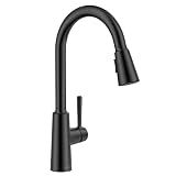 Lava Odoro Modern Kitchen Faucet with Pull Down Sprayer, KF241-MB