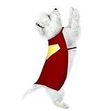 Red Hero Dog and Cat Costume Cape for Halloween and Parties (Small)
