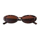 Laurinny Oval Sunglasses for Women Trendy 90s Retro Small Cute Sun Glasses Chic Lightweight Narrow Shades Leopard/Brown Lens