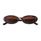 Laurinny Oval Sunglasses for Women Trendy 90s Retro Small Cute Sun Glasses Chic Lightweight Narrow Shades Leopard/Brown Lens