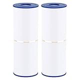 Wowreed Spa Filter Compatible with Cryspool CP-04075, PRB50-IN, C-4950, 413-212-02, FC-2390, J210/ J220/ J235/ J245/ J275, 03FIL1600, 5X13 Drop in Hot Tub Filter 2 Pack
