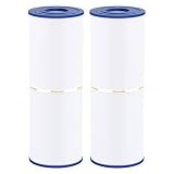 Wowreed Spa Filter Compatible with Cryspool CP-04075, PRB50-IN, C-4950, 413-212-02, FC-2390, J210/ J220/ J235/ J245/ J275, 03FIL1600, 5X13 Drop in Hot Tub Filter 2 Pack