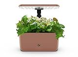 AeroGarden Harvest Lite in Mocha, Soil-Free Indoor Hydroponic Garden with LED Grow Light for Year-Round Gardening of up to 6 Herbs and Vegetables