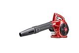 CRAFTSMAN Gas Powered Leaf Blower, Handheld Gas Blower, 200MPH, 25cc, 2-Cycle (B2000)