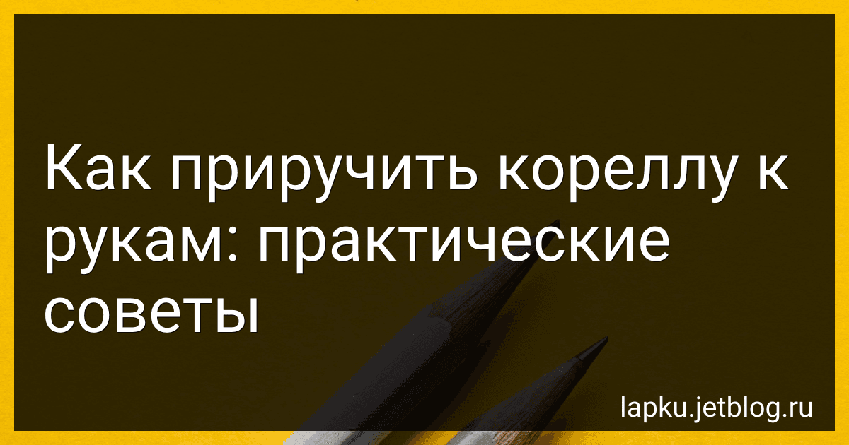 Как приручить кореллу к рукам: практические советы image