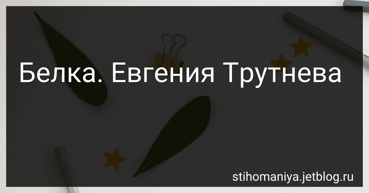 Белка. Евгения Трутнева preview