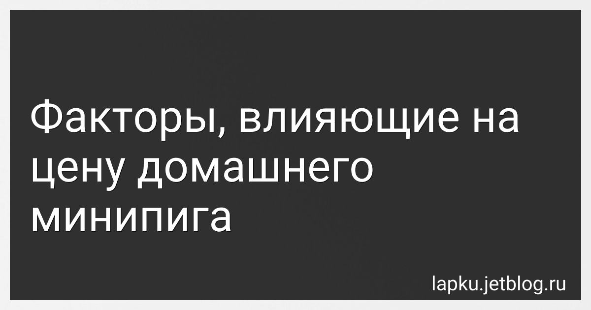 Факторы, влияющие на цену домашнего минипига image