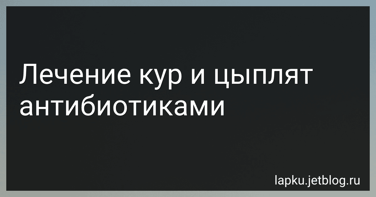 Лечение кур и цыплят антибиотиками image