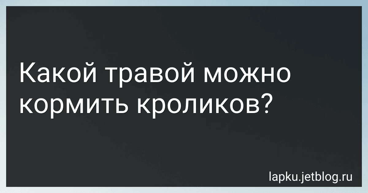 Какой травой можно кормить кроликов? image