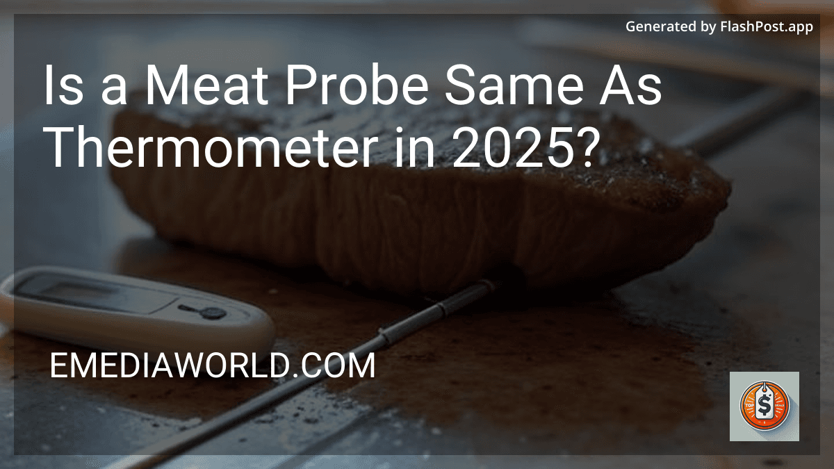 Is a Meat Probe Same As Thermometer in 2025? preview
