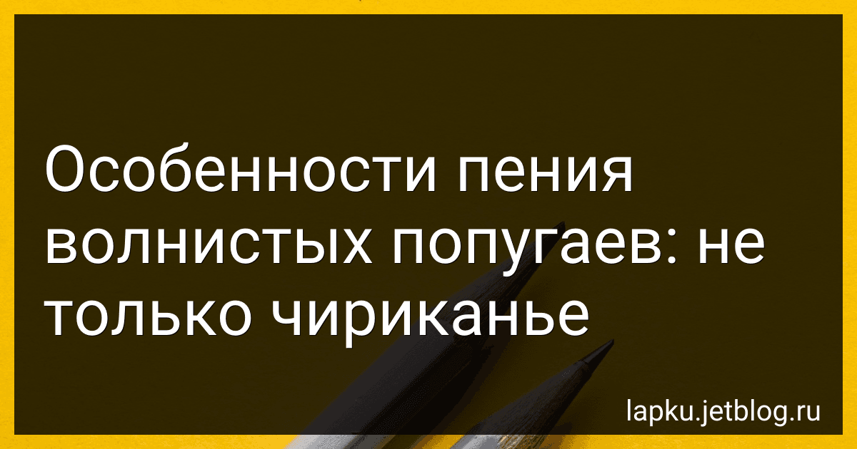 Особенности пения волнистых попугаев: не только чириканье image