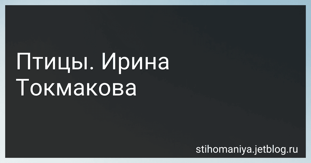 Птицы. Ирина Токмакова preview
