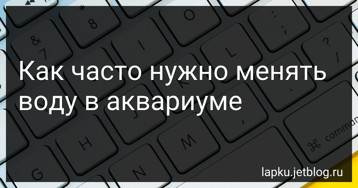 Как часто нужно менять воду в аквариуме preview