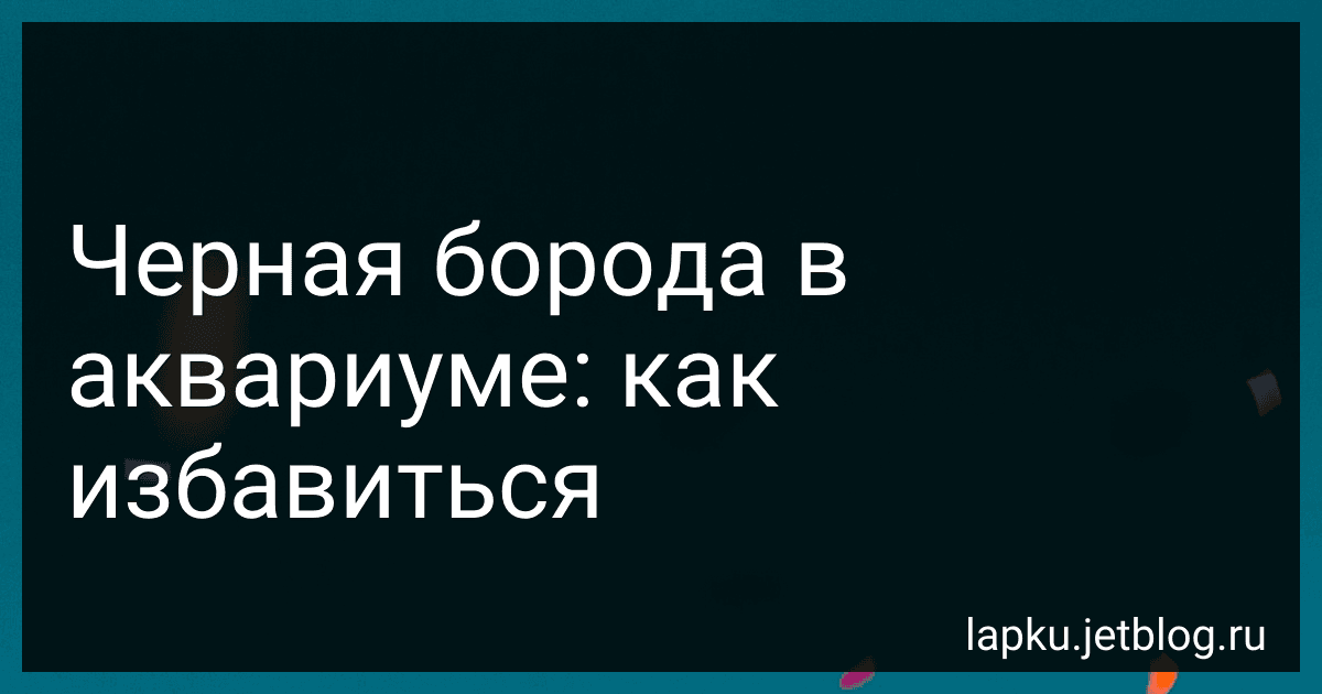 Черная борода в аквариуме: как избавиться preview