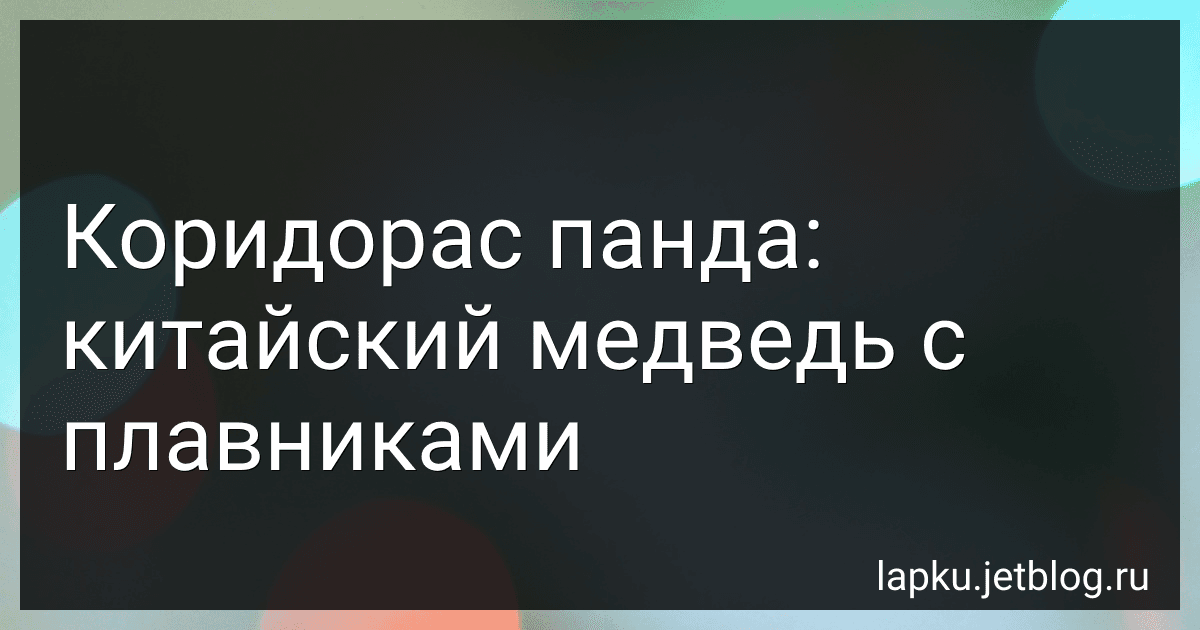 Коридорас панда: китайский медведь с плавниками image