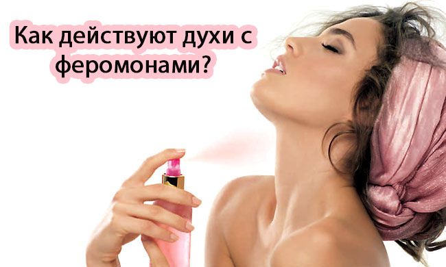 Как действуют духи с феромонами? image
